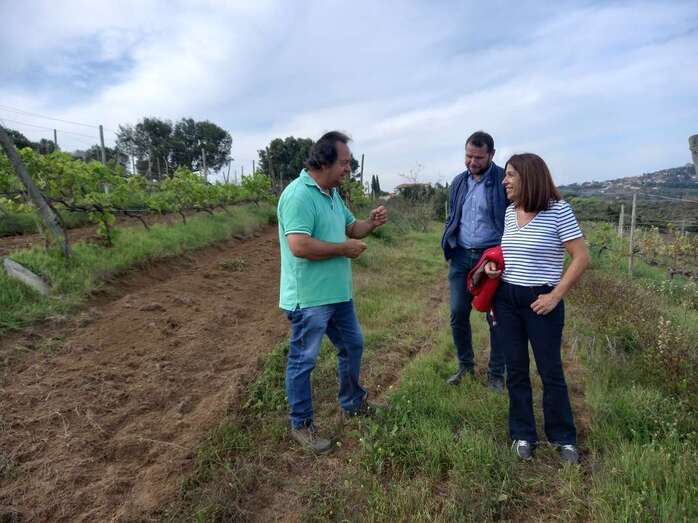 Imagen de la visita / TA